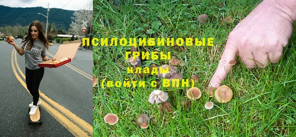 гашик Белокуриха