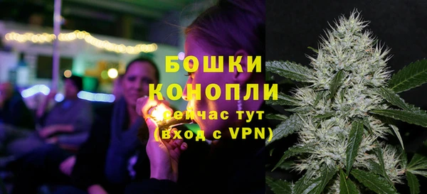 гашик Белокуриха